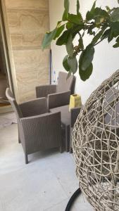 Apartman Natali 6
