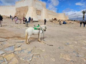 Cámara de Agadir