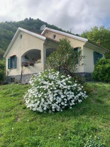Casa Gaia