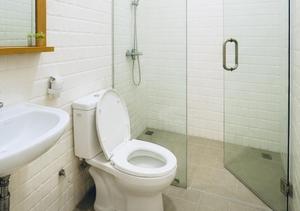 Elimstay Hostel