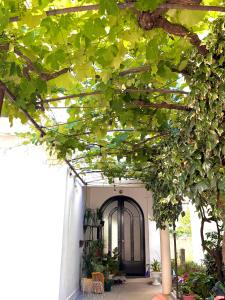 Lazorja Rooms