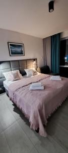 Apartament LAVENDER 29 - aneks kuchenny, balkon i duży ogród