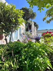 Villa Vasiliki