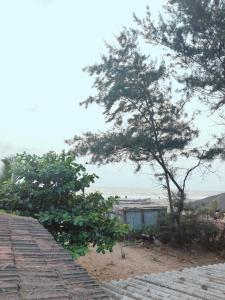 Cozinn B114 Sea facing rooms in Gokarna