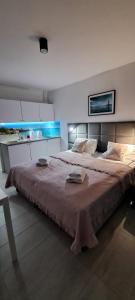 Apartament LAVENDER 29 - aneks kuchenny, balkon i duży ogród
