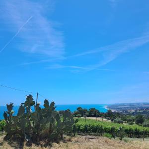 Trilocale immerso nel verde del M Conero, nuovo, con spazio esterno