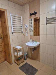 Apartment Pod Modrzewiem