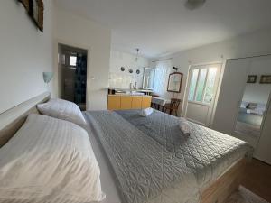 Studio Apartman ISRA 1