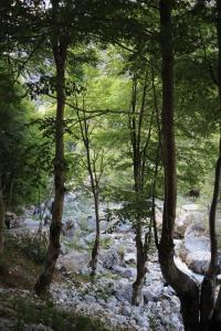 Riverside