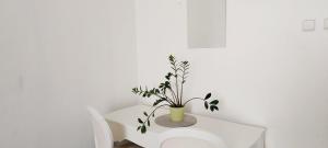 Old Town Center Just in 3 min Walk private room C