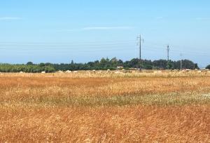 MONTE DE CONVERSAS by Stay in Alentejo