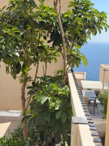 Green Coast Escape