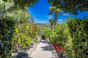 Apartments Petra - 100 m from the Beach