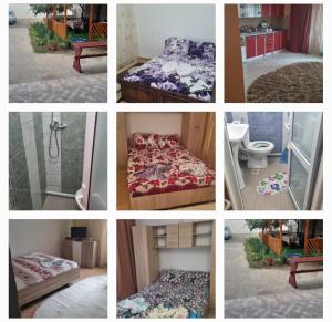 Vila Mirel