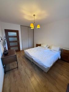 Apartament 8