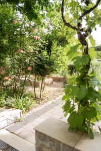 Apartman Dubravka