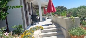 Villa Ana, Palit
