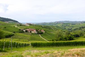 Be Langhe in Monforte - Camere di Cascina