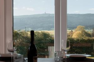 Chasseral Dome