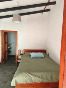 Casa Jungla Pavones