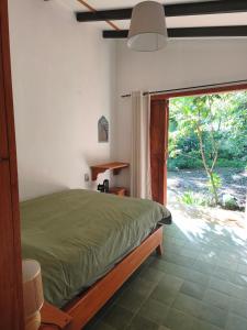Casa Jungla Pavones