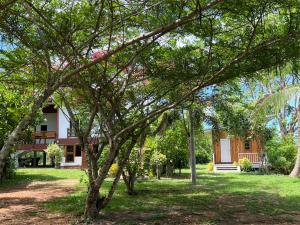 Coco farm stay Suanphueng