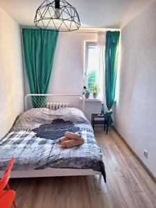 Sopociak Apartment