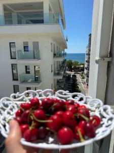 Sea View Nest