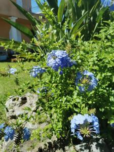 Villa Lou Penequet