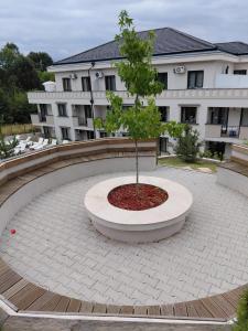 Apartman Lazar 2