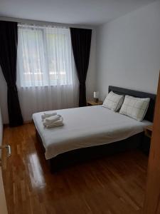 Apartman Lazar 2