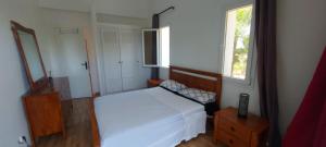 Palm Breeze Villa