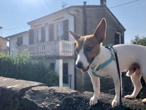 Casa vacanze Ceserano
