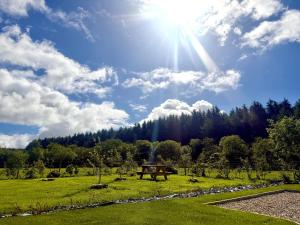 The Woodland Retreat Derry Londonderry