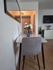 Silver Studio
