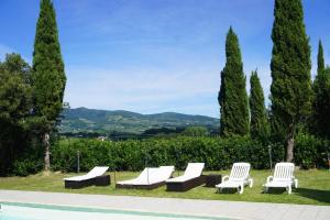 Tenuta Bufalini - Vinci