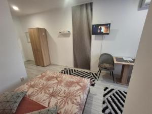 Studio Elvetia