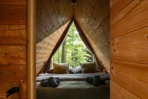 Natures Nest - The Woods
