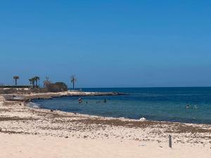 vue of beach