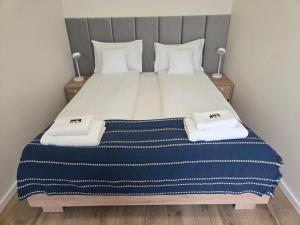 Apartamenty Centrum Jagiellończyka