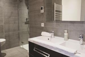 Le Jane : Centre ville, Garage, Balcon