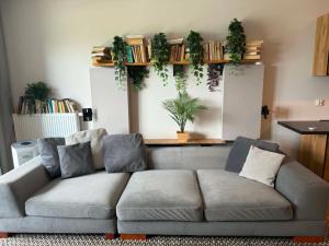 Apartament Słoneczny z widokiem - Hallera