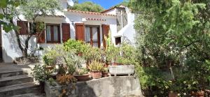 Casa Alma img10