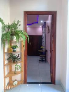Thuys homestay