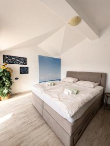 Apartman Miliša 3