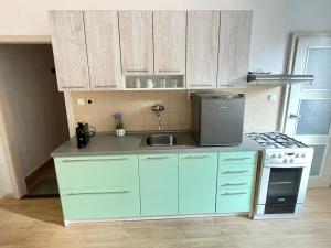 Budweis Comfort Apartment