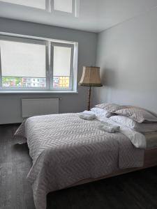 Apartamentai Dragūnuose