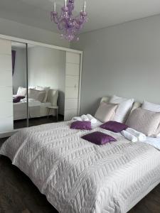 Apartamentai Dragūnuose