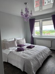 Apartamentai Dragūnuose