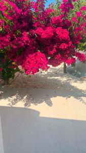 Bluewaves Antiparos Moonstone Jacuzzi House